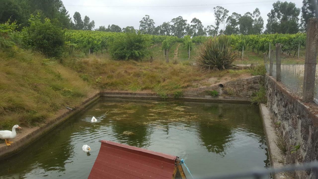 Quinta D'Areda Wine&Pool Experience Guest House Fafe Bagian luar foto