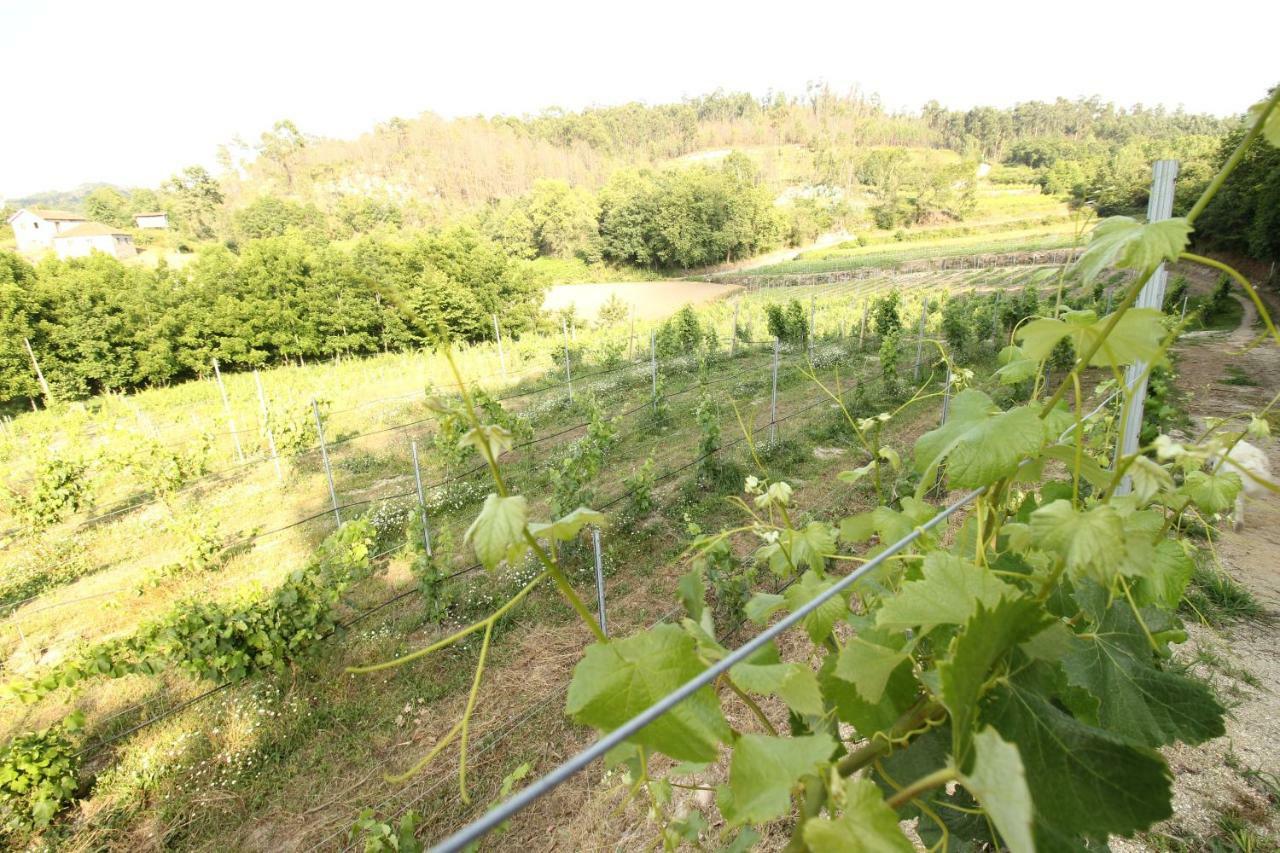Quinta D'Areda Wine&Pool Experience Guest House Fafe Bagian luar foto