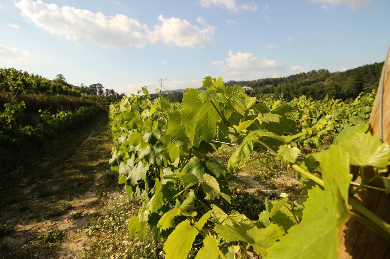 Quinta D'Areda Wine&Pool Experience Guest House Fafe Bagian luar foto